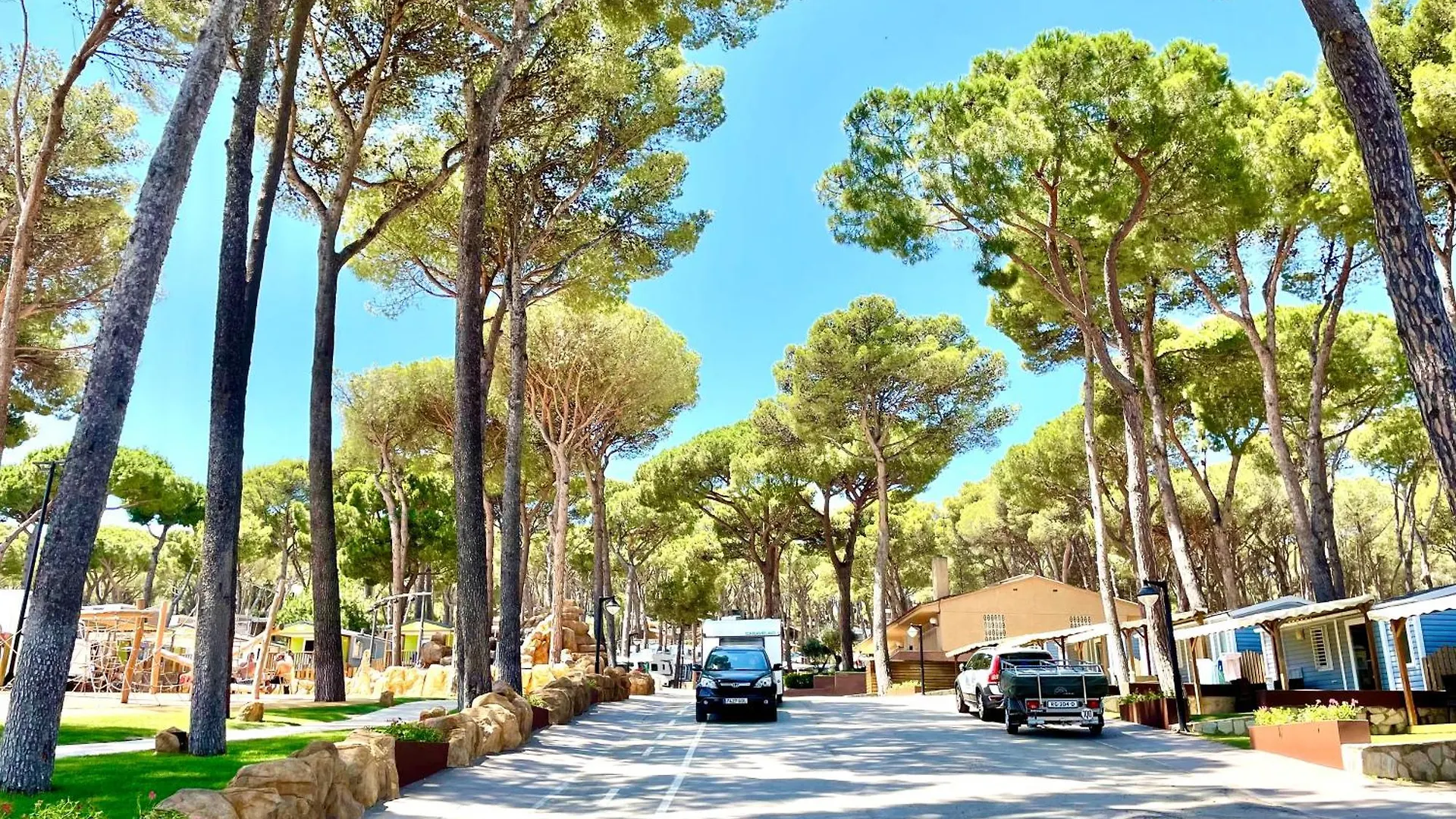 Interpals Eco Resort Kamp alanı Pals