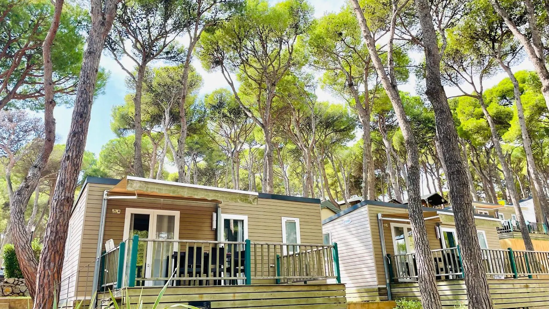 Interpals Eco Resort Campsite Pals
